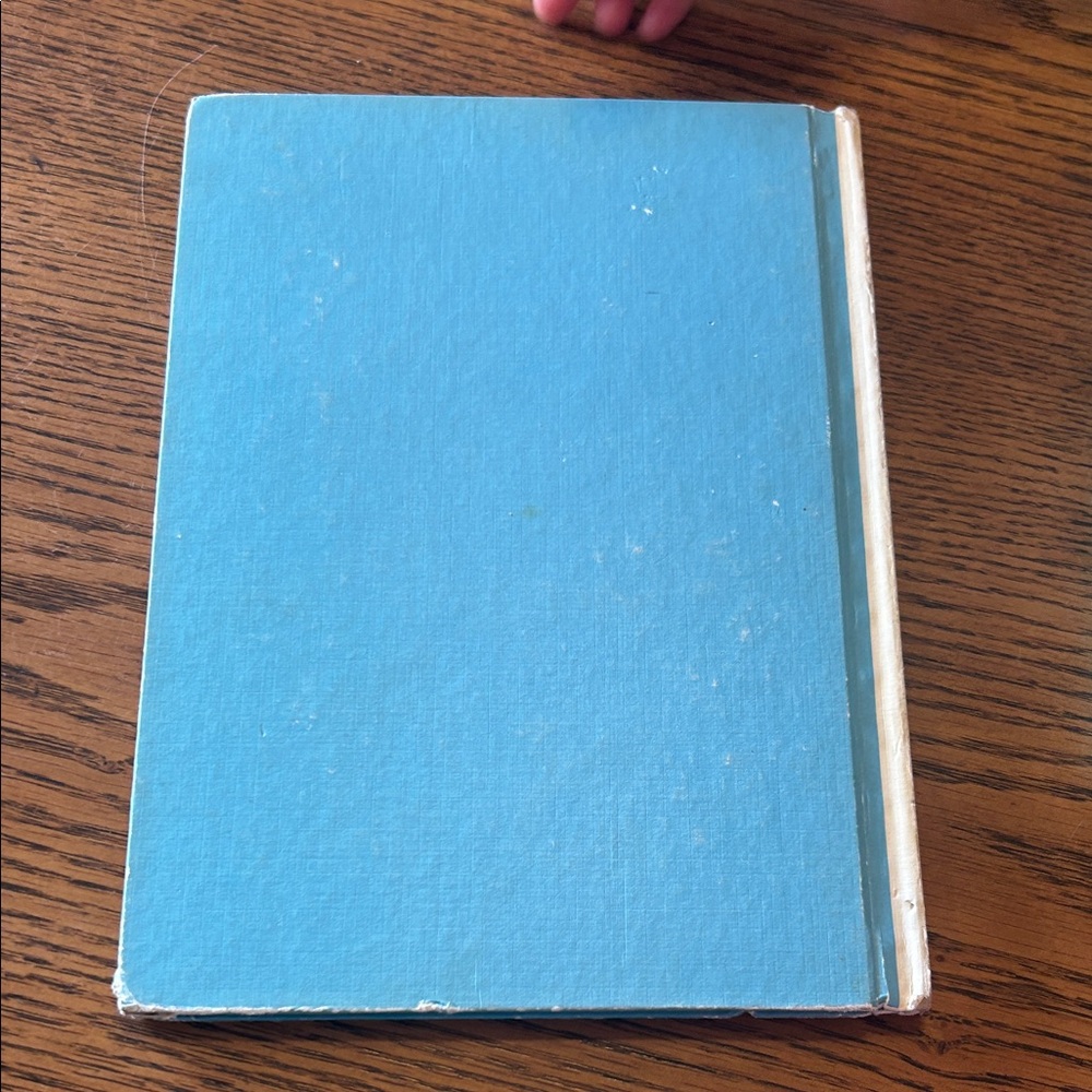 Vintage I Wish That I Had Duck Feet by Theo. LeSieg - Blue & White Cover - Picture 2 of 3